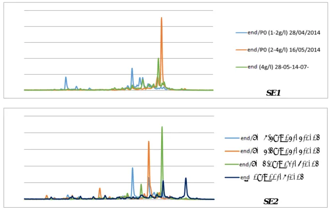 Figure 7: SSCP of the final points for all the experiments   