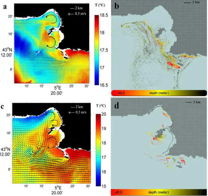 Fig 5a clearly shows the intrusion of the NC sub-surface within the bays of Marseille, with northwesterly currents reaching, for example, a maximum computed velocity of 0.13 m.s -1 at 20 m depth in June 2008 at a chosen station in the southern bay at 43.20