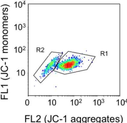 Fig. 3. Flow-cytometer density plot of Pacific oyster sperm stained with JC-1 and analysed for both FL1 (JC-1 monomer form) and FL2 (JC-1 aggregate form) fluorescence