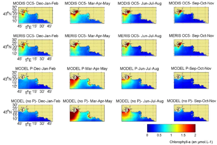 Figure 7. Surface chlorophyll concentrations for the year 2008. Evolution of the surface chlorophyll concentrations from the remote sensing data of MODIS (green point) and MERIS (blue point), in-situ data (blue point) and the simulation with the P cycle (b