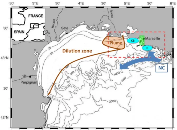 Figure 1. Map of the Gulf of Lion and the model domain. The RHOMA model domain (red dotted lines), the Bay of Marseille (green rectangle), the ‘‘Cote Bleue’’ and ‘‘Calanques’’ upwelling spots (blue circles), the Rhone River plume and intrusion zone (in bro