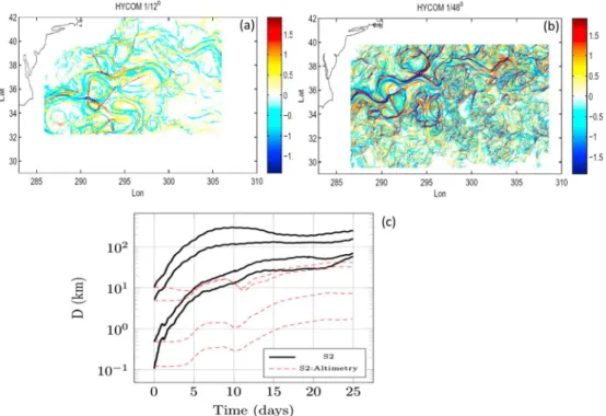 Figure 13. Finite Size Lyapunov Exponent from a simulation without (a) and with submesoscales (b)