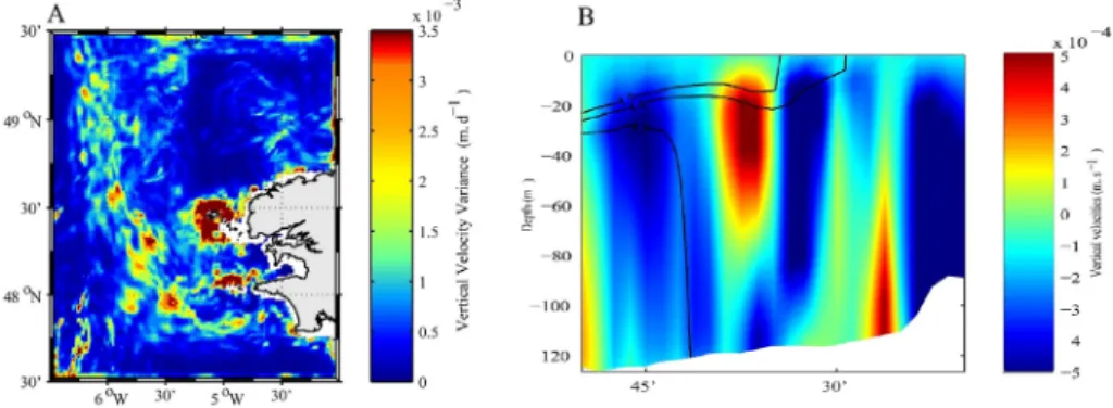 Fig. 15. Monthly (September) averaged vertical structure of phosphate (mmolP·m −3 ) distribution along the 48°N transect (Fig