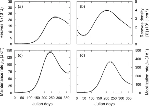 Fig. 7. DEB variables calculated from the DEB Linear Equation using an artificially noisy growth trajectory