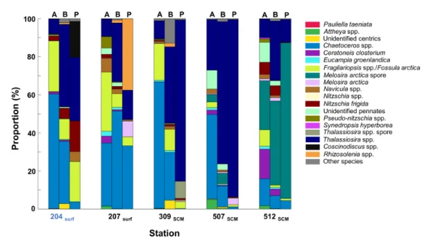Figure 9: Taxon-specific contribution to biogenic silica deposition at the five most productive stations