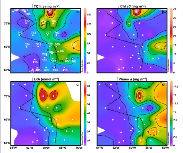 Figure 4: Depth-integrated phytoplankton pigments and BSi throughout the study area. Distribution of  depth-integrated TChl a (a), Chl c 3  (b), BSi (c), and Phaeophorbide a (d)