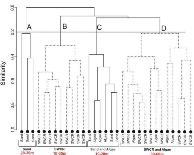 Figure 3 – Dendrogram showing habitat types and depth range obtained after cluster analysis applied on 