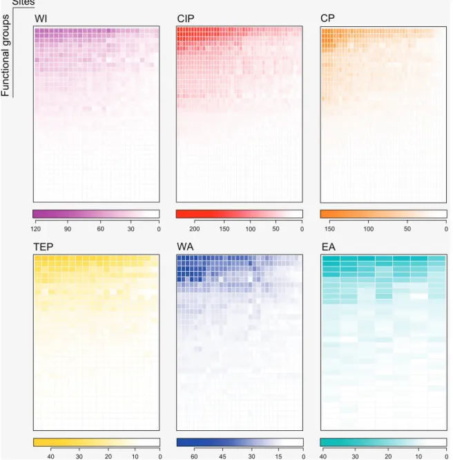 Figure 4. The nested functional structure of global reef fish assemblages. Maximally packed matrices representing the number of functional  groups (rows) across sites in six biogeographic regions: Western Indian (WI, in purple), Central Indo-Pacific (CIP, 