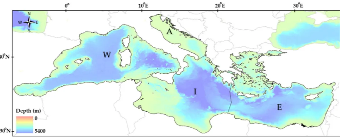 Figure 1.  A representation of the Mediterranean Sea with the bathymetry and the four MSFD areas: 