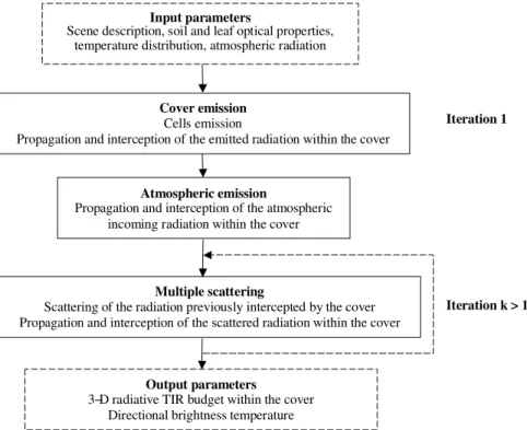 Figure 2. Schematic representation of radiative transfers within the canopy.