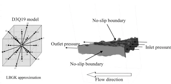 Figure 2. The numerical model of the lattice Boltzmann method (LBM) (The lattice Bhatnagar–Gross–