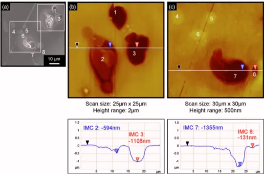 Figure 4 shows an AFM topographical map 共 Fig. 4a 兲 and the corre- corre-sponding SKPFM potential map 共 Fig