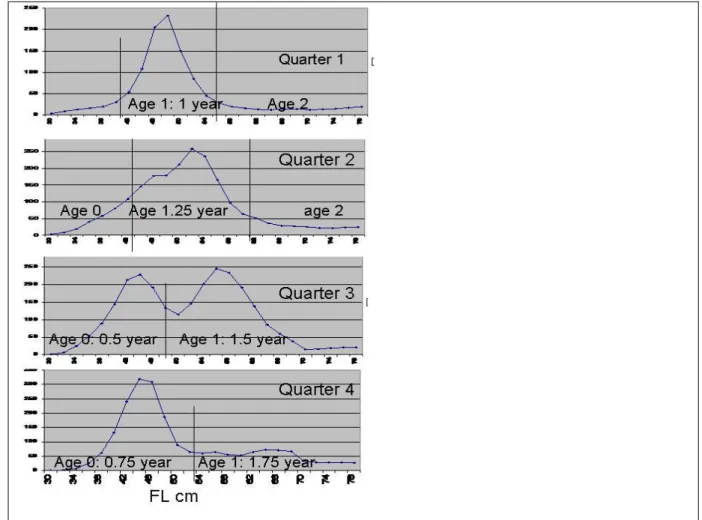 Figure 3. Slicing quarterly limits used to estimate quarterly catch at age based on the quarterly CAS of YFT by  PS  in  the  -10kg  category  of  YFT  catches    (average  CAS  period  1991-2015),  based  on  Gascuel  et  al    growth  curve figure 4a, as