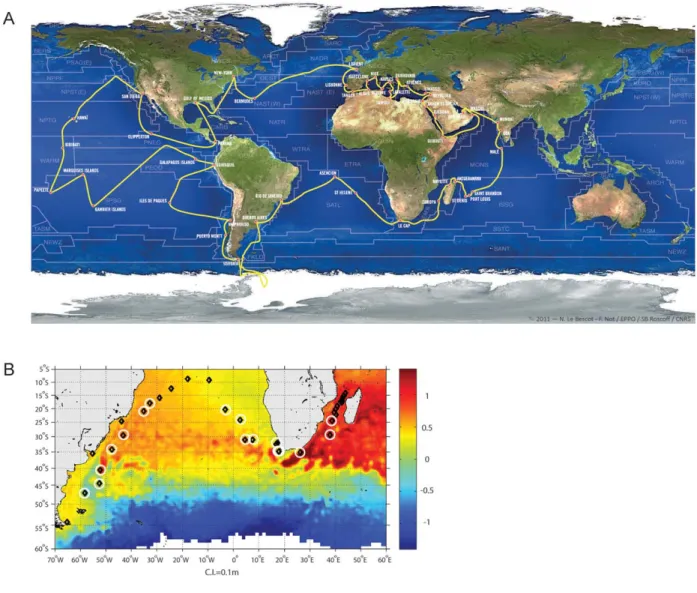 Figure 1. The Tara Oceans cruise. (A) Route of the Tara Oceans expedition. Sampling stations from surface to 1,000 m are carried out between ports of call guided by satellite data about the basin to sub-mesoscale structures