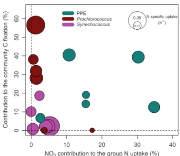 Fig. 7 Contribution to total community C ﬁ xation as a function of the contribution of NO 3 − to the group N speci ﬁ c uptake for each group in each daylight assay