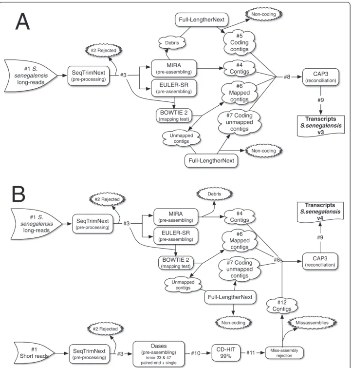 Figure 1 Schematic representation of the pre-processing, assembling and reconciliation approach to obtain the final transcriptome.