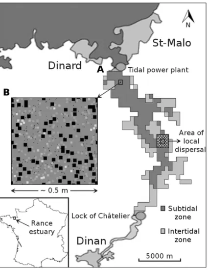 Figure 1 Graphical depiction of the coarse-scale model of the Rance estuary in France