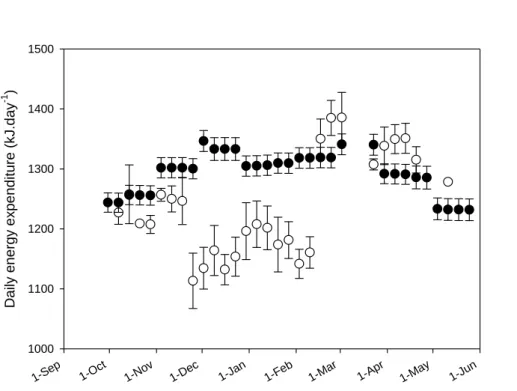 Figure 4. Predicted daily energy expenditure of Brünnich’s (open circles; n=4) and common  guillemots  (filled  circles;  n=5)  throughout  the  non-breeding  season