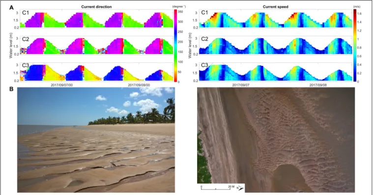 FIGURE 8 | Currents measured near the beach (see Figure 2) over several tidal cycles (A) and photographs of bedforms (2D to 3D dunes) on the shoreface adjacent to the beach (B).