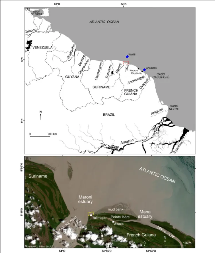 FIGURE 1 | (A) Map of the Guianas coast between the deltas of the Amazon and Orinoco Rivers, and study area (red box)