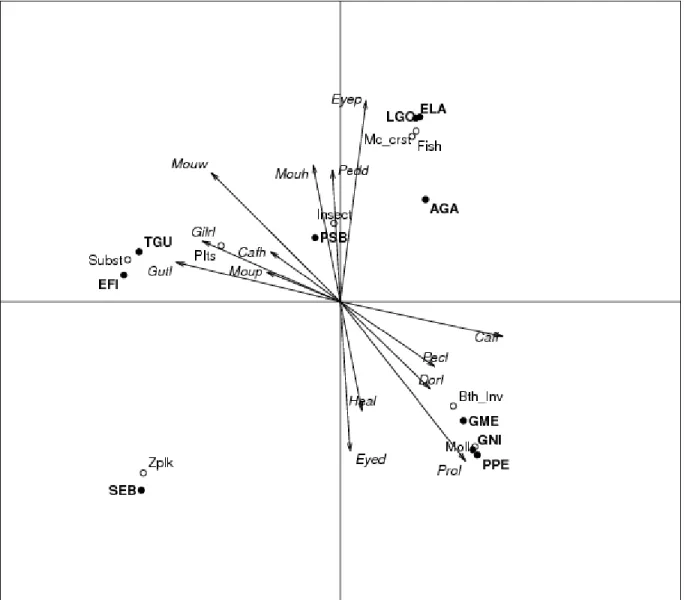 Figure 2. Ordination of the first two canonical correspondence analysis (CCA) axes based on dietary and morphological  variables