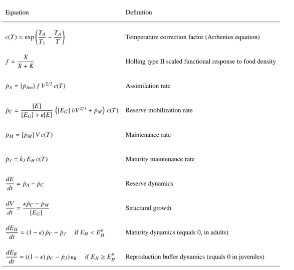 Table 1: Summary of the equations of the standard Dynamic Energy Budget model used in this study