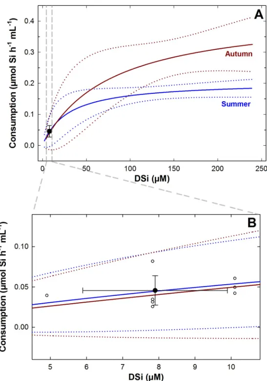 Fig 3. Field versus laboratory rates of DSi consumption in Tethya citrina. (A) The average (±SD) rate of DSi consumption determined through the in situ incubations matched the predictions of the hyperbolic models (solid lines) obtained in the laboratory fo