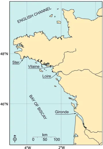 Fig. 1 Sampling sites in three contaminated estuaries (Vilaine, Loire, Gironde) and one reference estuary (Ster)