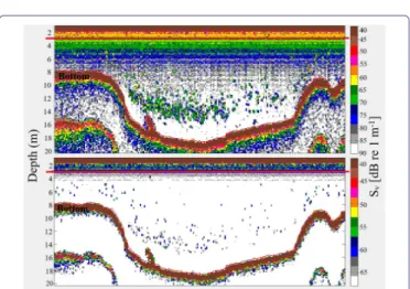 Figure 2: Typical daytime 120 kHz 20 log R echogram at -90 dB (up)  and -68 dB (down) thresholds along a transect segment (near Huatajata) in  Lago Menor, Lake Titicaca (see red dot in figure 1)
