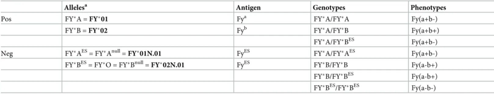 Table 1. Major Duffy alleles, genotypes and phenotypes described in human populations and alternate nomenclature.