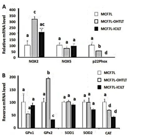 Fig.  5  Pro  or  antioxidant  enzyme  and  p22phox  mRNA  expression  in  long-term  treated  cell  lines