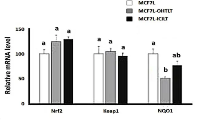 Fig. 6 Nrf2, Keap1 and NQO1 mRNA expression levels in long-term treated cell lines. Long  term  cell  lines  were  hormone-deprived  during  4  days  in  DCC  medium  and  then  expression  levels  of  Nrf2,  Keap1  or  NQO1  mRNA  were  assessed  by  qPCR
