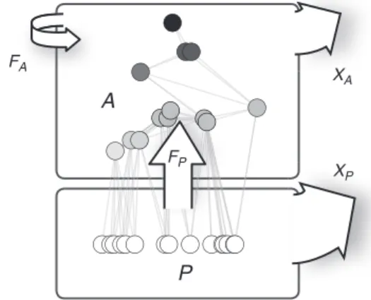 Figure 1 | Schematic diagram of the ecosystem model. The animal community, A, feeds on the plant community, P, with rate F P , but also on members of the own consumer guild with rate F A 