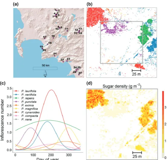 Figure 2. Quantifying the spatiotemporal dynamics of sugar landscapes. (a) Location of 27 study sites in the Fynbos biome, South Africa  (area extending from Bainskloof Pass (33°63′S, 18°83′E) to Gansbaai (34°61′S, 19°52′E))