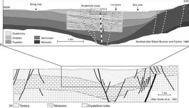 Figure 6. (a) General tectonic interpretation of the southeastern Upper Rhine graben by G¨urler et al