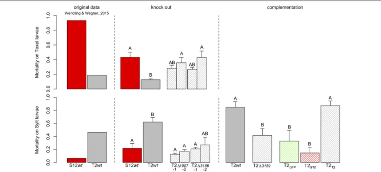 FIGURE 5 | Mortality of larvae exposed to wild-type and mutant strains of the isolates S12 and T2