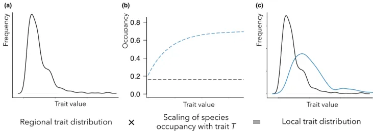Figure 1 Conceptual framework. The regional distribution of trait T (left panel) and the scaling of species occupancy with T (middle panel) determine species trait distribution in the local assemblage (right panel)