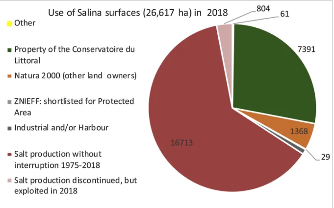 Fig. 7. Salinity variations, from March to September, in several locations of the different ponds in the part of Salin de Giraud acquired by the Conservatoire du Littoral in 2009 (7–9 years after abandoning the exploitation for salt extraction)