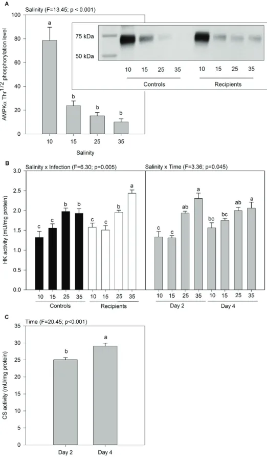 Fig. 2. Activities of enzymes related to energetic metabolism in oyster tissues as a function of salinity, infection, and time