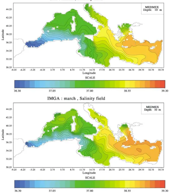 Fig. 2. Salinity fields March average, experiment I.