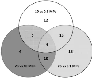 Figure 3. Venn diagram showing numbers of differentially expressed genes in D. hydrothermalis between the hydrostatic pressures of 0.1 MPa, 10 MPa and 26 MPa (adjusted  P-value,0.1).
