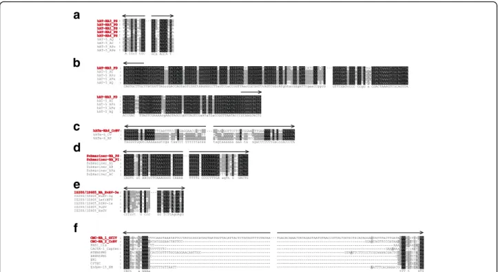 Table S1). IS200/IS605_NA are flanked by 10 bp TIRs, which are identical to those of its autonomous elements