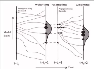 FIGURE 6 | Scheme of the particle filter technique for assimilation of data in a process model (H