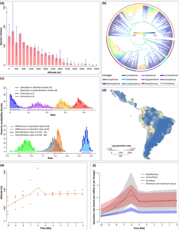 Fig. 3 Diversification of the Cymbidieae. (a) Richness vs elevation plot for 55% ( &gt; 20 000 herbarium records) of the c