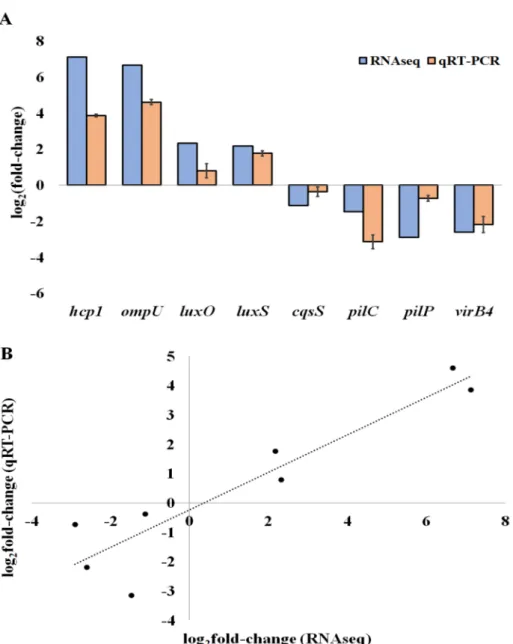 Figure 3. QRT-PCR validation of differentially expressed genes. (A) The log 2 of the fold-change (Log 2 FC) expression of genes in V