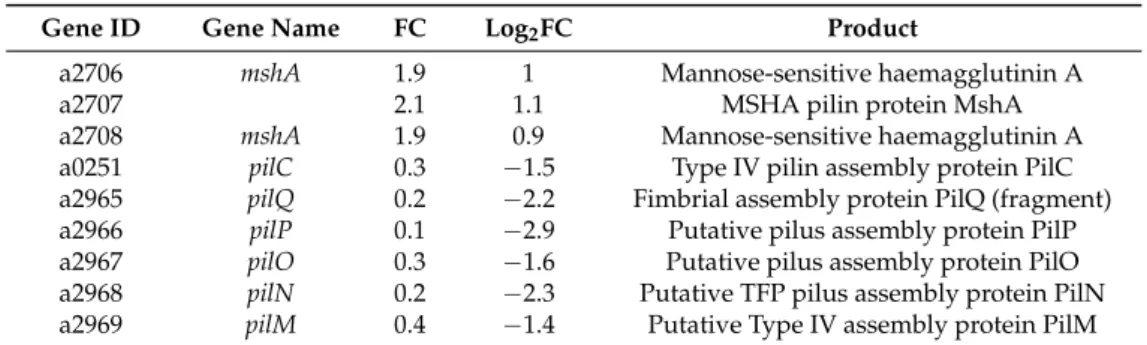 Table 1. Genes involved in attachment and motility.