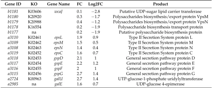 Table 2. Genes involved in polysaccharide production (with KEGG:KO).