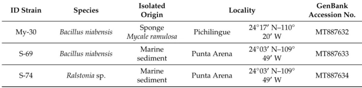 Table 1. Marine bacteria isolated from sponge and sediment of coasts of Baja California Sur (with antifouling potential).