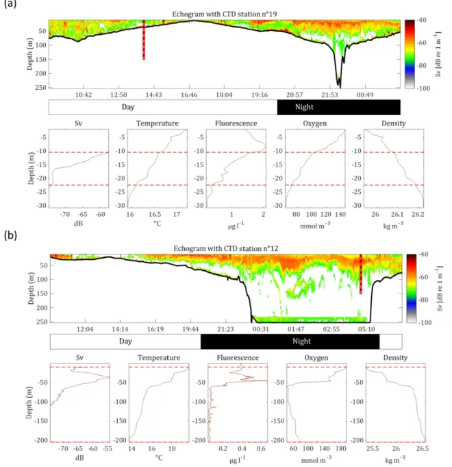 Figure 2. Echograms and associated vertical acoustic profiles as well as physicochemical parameters (CTD data) for two example stations:
