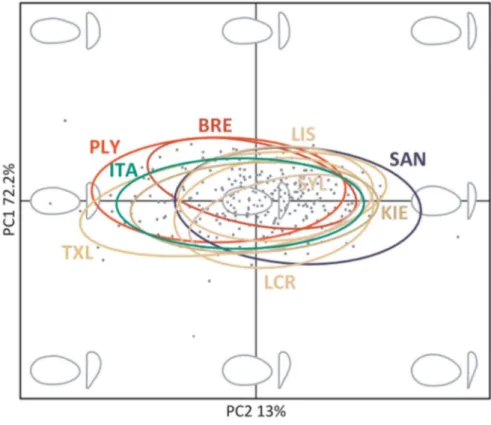 Figure 4. Scatterplot of individual variation in the first two principal components (PCs) from a PCA performed on elliptic Fourier analysis coefficients of lateral and anterior left shell views
